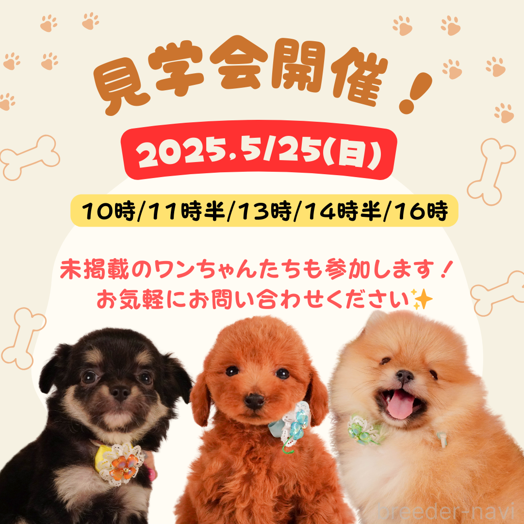 会澤勇気ブリーダー